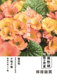 金露會所