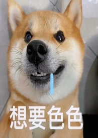 送个外卖，就被校花学姐咬成吸血鬼了