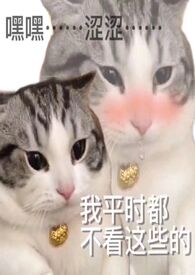 小病秧子养护指南