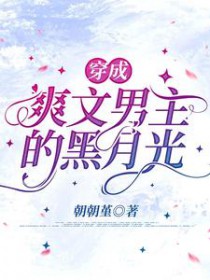 无限探墓直播间