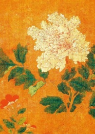 从斩妖除魔开始长生不死