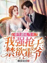 [综]王之挚友