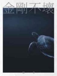 糊咖凭盛世美颜在修罗场撩麻了