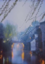 哈基米管理中心
