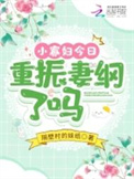病弱首辅的三嫁泼辣小娇娘