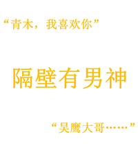 玫瑰白茶[gb]