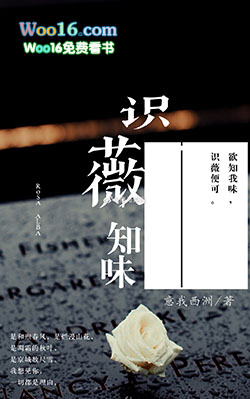 替嫁仙尊的鸡精揣蛋飞了