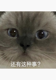 我女朋友住墙里，但她超甜