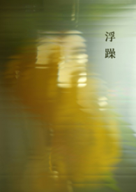 夺爱豪门：总裁，我不嫁！