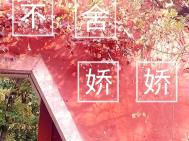 [综漫] 当双黑被妮妮抚养