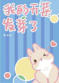 试婚丫鬟
