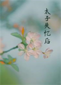 重回八零带着退伍残疾老公奔小康