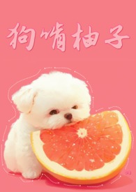 [综漫] 兽医,和Gin,已婚