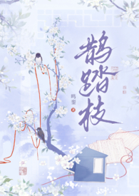 红妆探花