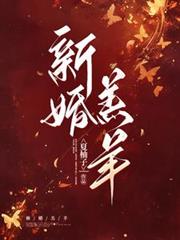 蠢萌明星路