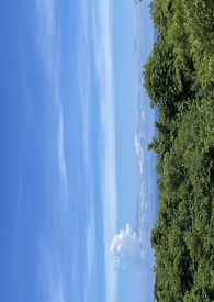 病友总想要贴贴